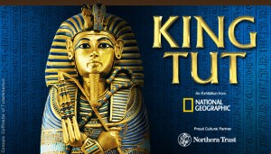 tut pharaohs sightseeing tutankhamun alert exposition maio